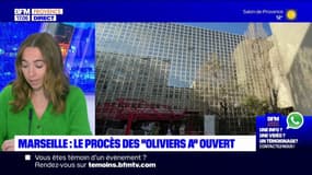 Marseille: le procès des "Oliviers A", un réseau de trafic de drogue, s'est ouvert ce lundi