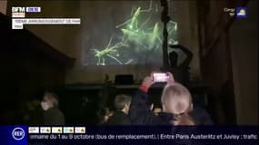 Nuit Blanche: les Parisiens ont répondu présents malgré une offre réduite en raison du Covid-19