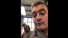 "Président Magnien!": en plein "Acte 4" des "gilets jaunes", Darmanin fait un selfie avec un oiseau pour la SPA