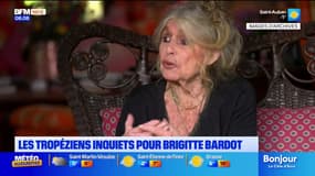 Hospitalisation de Brigitte Bardot : les tropéziens sont inquiets