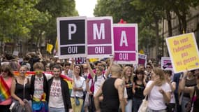 Des manifestants en faveur de l'ouverture de la procréation médicalement assistée (PMA) à toutes les femmes, lors de la Marche des fiertés LGBT à Paris, le 29 juin 2013.