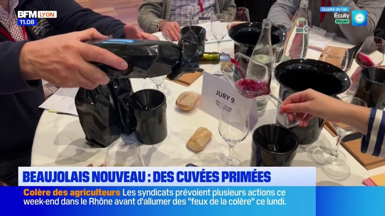 Beaujolais nouveau des cuvées primées avant la sortie des vins ce jeudi