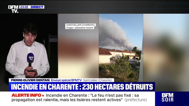 Incendie en Charente: 230 hectares de végétation détruits par les flammes
