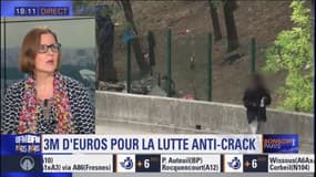 Paris se dote d'un plan pour lutter contre le crack: "Il faut leur donner envie de rester ailleurs et qu'ils aient de moins en moins envie de revenir sur la colline du crack", explique Anne Souyris, adjointe à la santé à la mairie de Paris