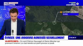 Evreux: une joggeuse agressée sexuellement dimanche en forêt