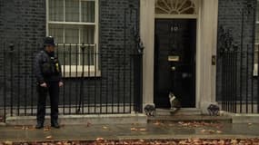 En plein Brexit, Larry, le chat de Theresa May se retrouve à la porte