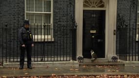 En plein Brexit, Larry, le chat de Theresa May se retrouve à la porte