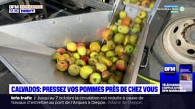 Normandie: un camion pressoir mobile sillonne plusieurs communes