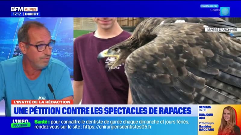 Médiévales de Crots: les rapaces présentés n'étaient pas en stress du tout