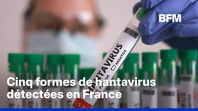 Le vapotage est-il nfaste pour la sant? Le vapotage est-il nfaste pour la sant?