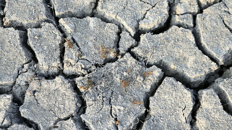 De la terre craquelée, lors d'un épisode de sécheresse en Corse en août 2021.  (PHOTO D'ILLUSTATION)