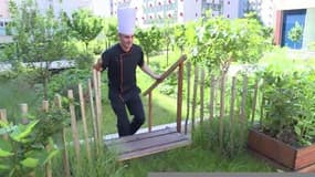 Des chefs cuisiniers adeptes des jardins sur les toits à Paris