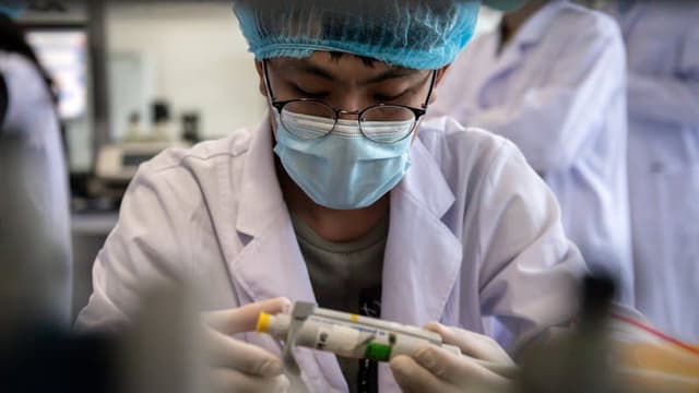Un scientifique chinois en laboratoire le 14 mai 2020 à Pékin.