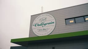 Vallégrain est spécialisée dans l’élevage, l’abattage, la découpe, et la transformation de porc et de porcelets, et travaille avec plus de 180 éleveurs français. 