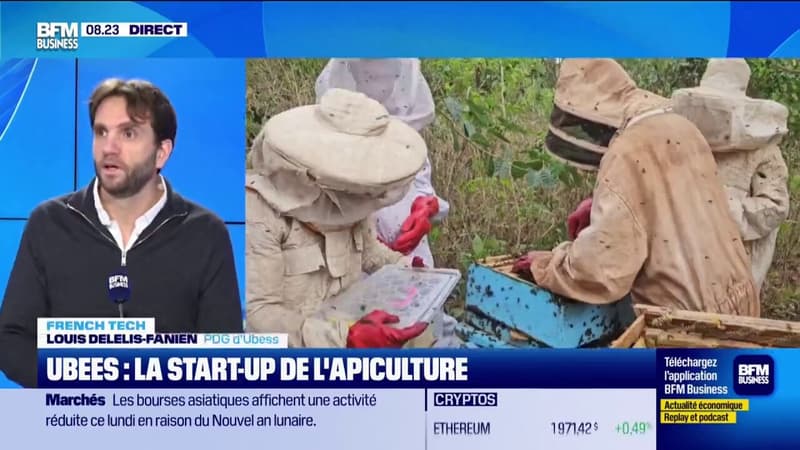 Ubees : la start-up de l'apiculture de retour en France