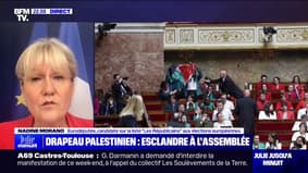 Drapeau palestinien à l'Assemblée: "Je suis profondément scandalisée de voir ce qui se passe à l'heure actuelle dans cet hémicycle", affirme Nadine Morano (candidate LR aux élections européennes)