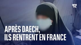 Après Daech, ils rentrent en France