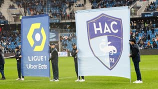 Le logo de la Ligue 1 et du Havre, le 25 février 2024