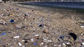 La Commission européenne propose de nouvelles règles applicables, qui ciblent les dix produits en plastique à usage unique les plus présents sur les plages et dans les mers.