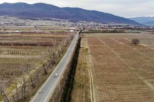 Des vignes à Saguramo, à environ 40 km à l'ouest de Tbilissi, le 11 mars 2019 en Géorgie