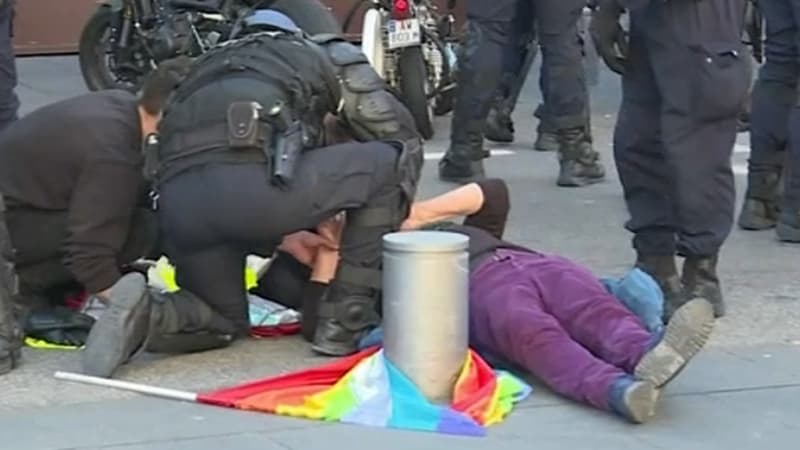 Geneviève Legay a été blessée lors d'une charge policière à Nice le 23 mars 2019.