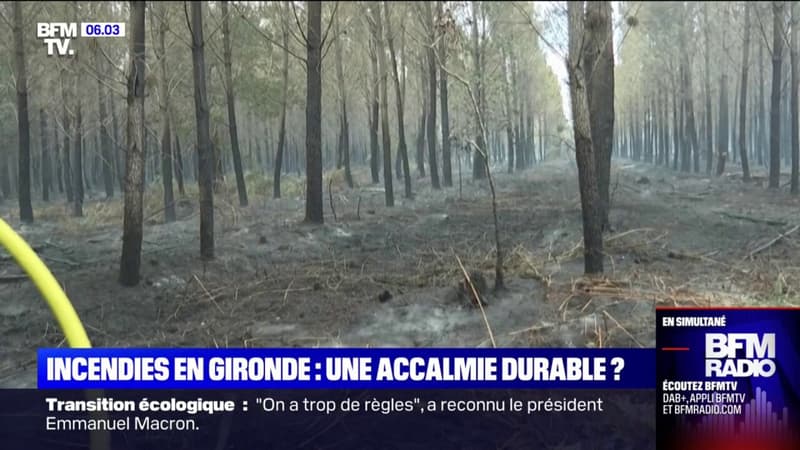 Les incendies en Gironde ne progressent quasiment plus, les pompiers toujours mobilisés