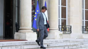 Nicolas Hulot à l'Elysée le 6 juin 2018.
