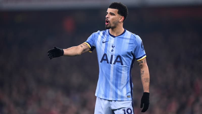 D. Solanke