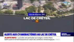 Val-de-Marne: une alerte aux cyanobactéries dans le lac de Créteil