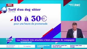 La Minute Conso : Les Français très attachés à leurs animaux de compagnie - 01/12