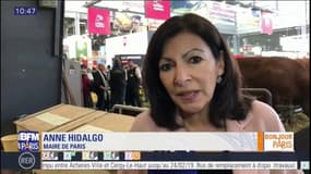 "On est en pic de pollution et on n’a pas la circulation différenciée, ça suffit!", martèle Anne Hidalgo