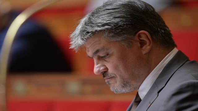 David Douillet à l'Assemblée nationale le 24 juin 2015.