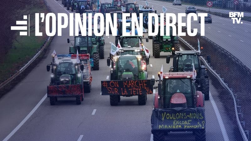 Un convoi d'agriculteurs qui manifestent en bloquant l'autoroute A35 à côté de Strasbourg, dans le Bas-Rhin, le 30 janvier 2024