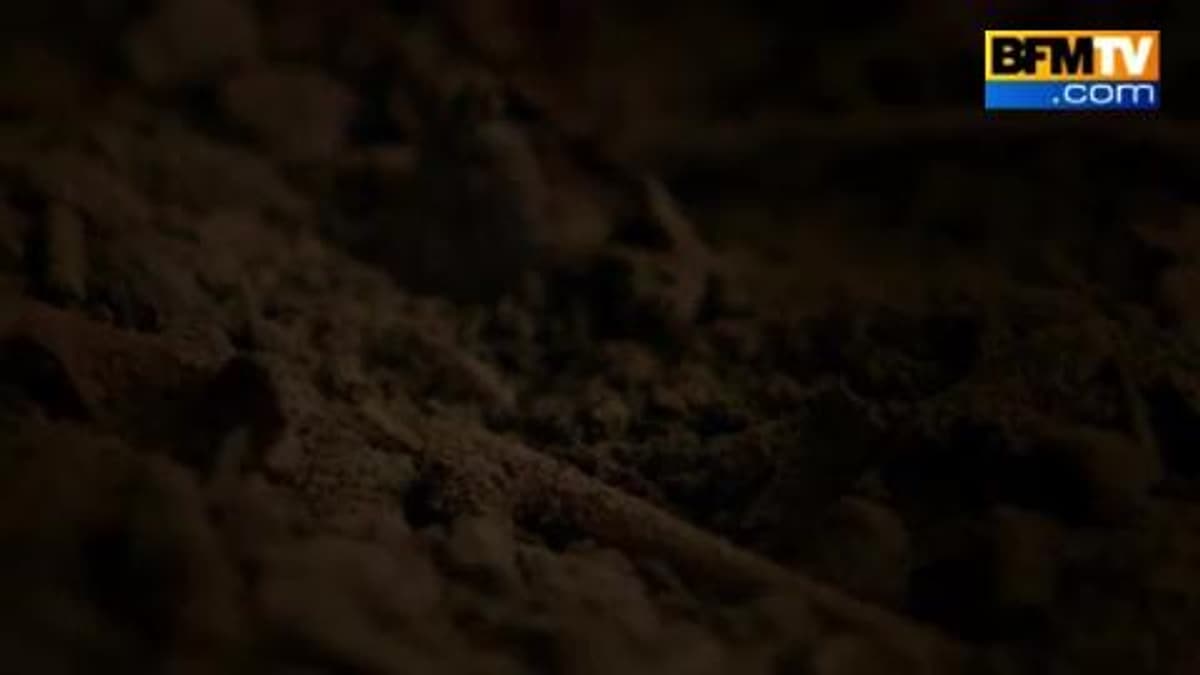 placeholder video