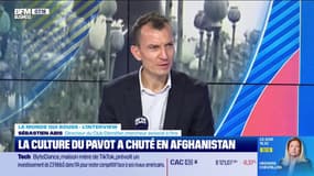 La culture du pavot à opium a chuté en Afghanistan
