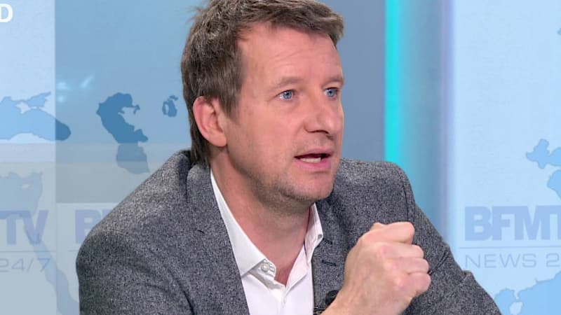 Yannick Jadot, 'eurodéputé EELV, chez Ruth Elkrief sur BFMTV le 14 janvier 2016.