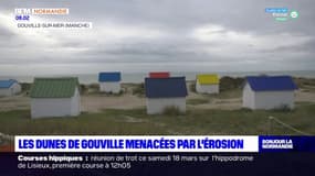 Manche: les dunes de Gouville-sur-Mer menacées par l'érosion