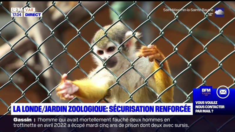 La Londe-les-Maures: le jardin zoologique renforce sa sécurité après le vol de 14 singes