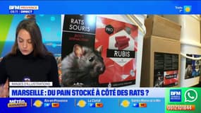 Marseille : du pain, destiné aux écoles et aux hôpitaux, stocké aux côtés des nuisibles ? 