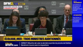 "Je ne suis pas pour une écologie punitive", affirme Monique Barbut, la nouvelle ministre de la Transition écologique et de la Biodiversité
