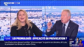 Loi promulguée : efficacité ou provocation ? - 15/04