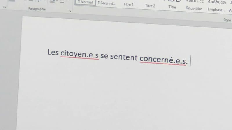 Image d'illustration - Exemple de phrase en écriture inclusive