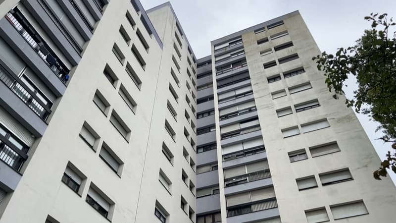 Mulhouse: sans ascenseur depuis un an et demi, les habitants de la tour Delacroix attendent toujours une réparation