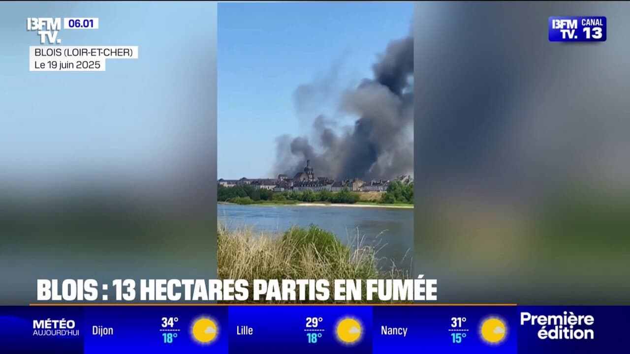 Fletcher Partis À Blois, 13 hectares de forêt sont partis en fumée