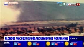 D-Day: plongez au cœur du débarquement de Normandie