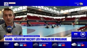 Handball: Sélestat reçoit les finales de Proligue