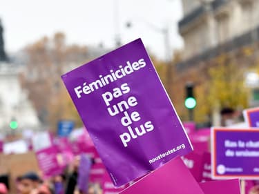 Une pancarte "féminicides, pas une de plus", lors d'une manifestation de Nous Toutes contre les violences sexistes et sexuelles à Paris, le 20 novembre 2021
