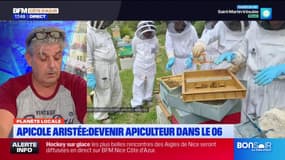 Planète locale du lundi 9 septembre - Apicole Aristée : devenir apiculteur dans le 06