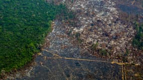 Vue aérienne de la déforestation dans une réserve biologique à Altamira, dans l'Etat de Para, au Brésil, le 28 août 2019