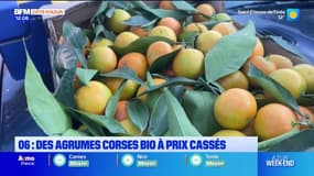 Alpes-Maritimes: des agrumes corses bio à prix cassés